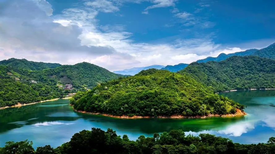 高效全自动智能